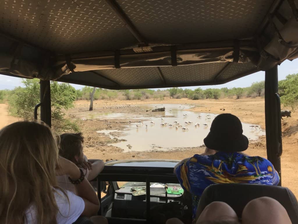 tourists looking out a jeep at a watering hole on a Udawalawe Safari 