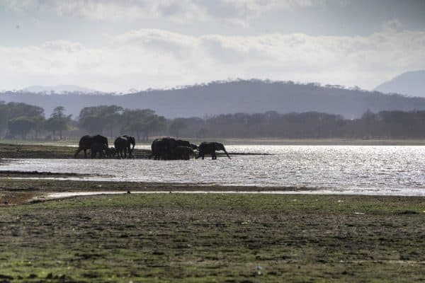 Volunteering on a Conservation Project with Biosphere Expeditions in ...