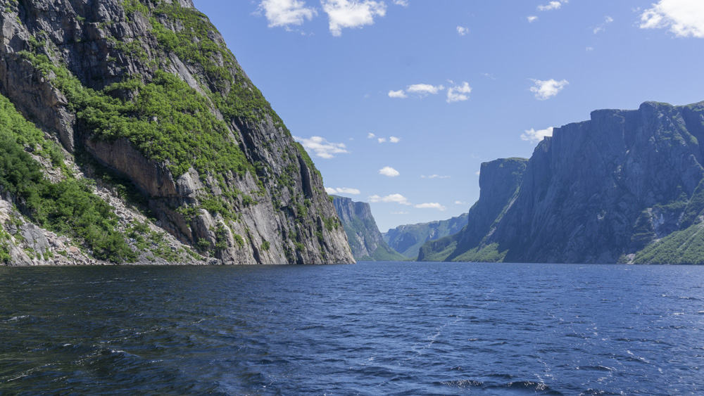 fjords in gros morne national park