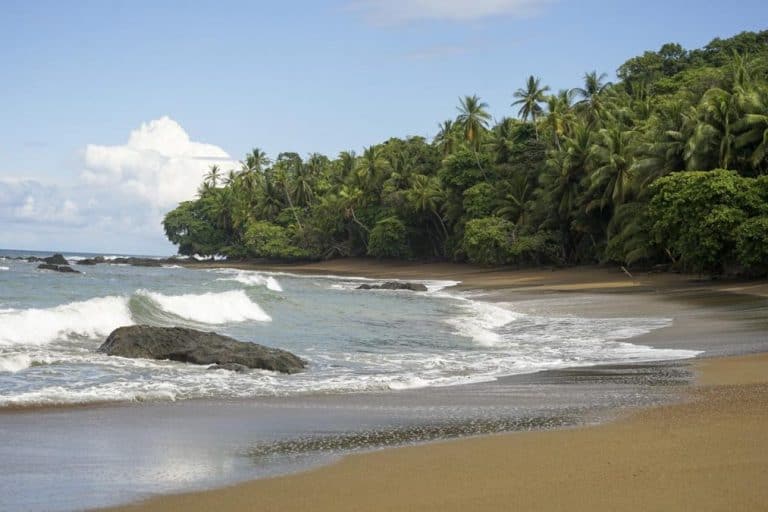 10 Wonderful Things to do in Uvita, Costa Rica – Explore With Lora