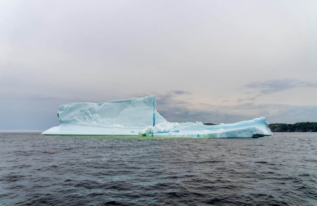 icebergs newfoundland