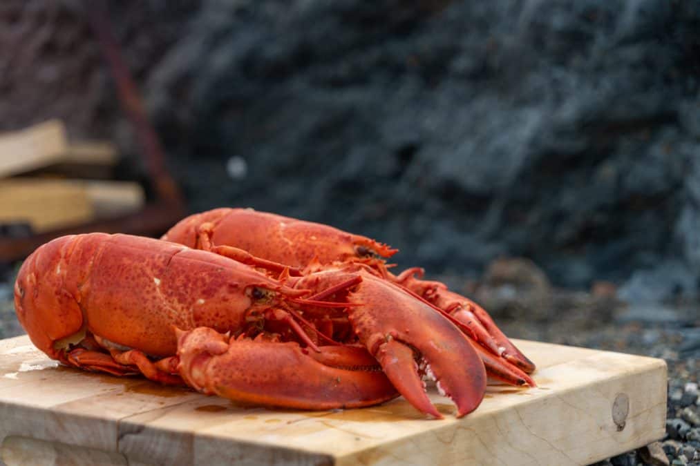 lobster in newfoundland