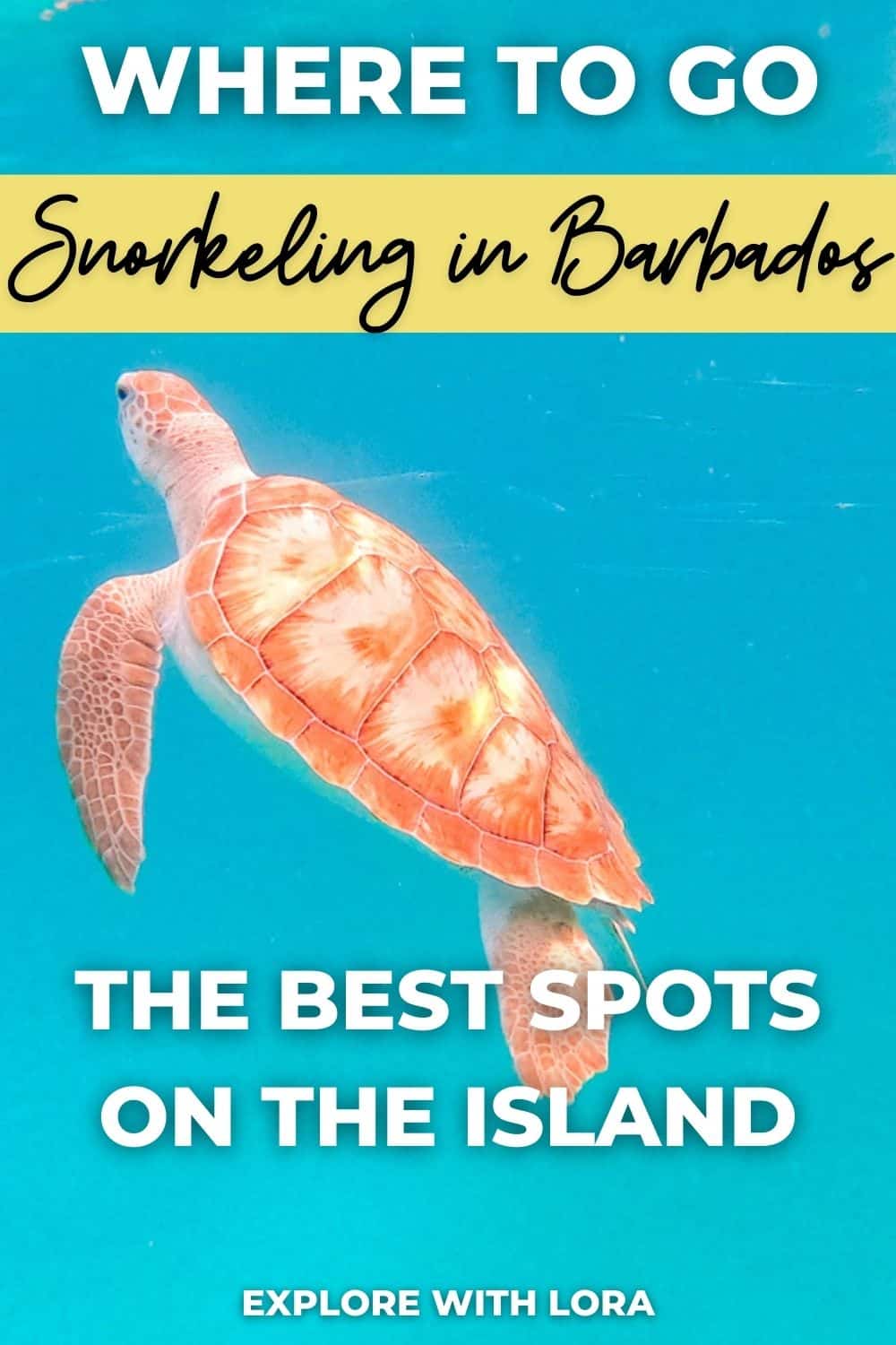 Snorkeling in Barbados | Best Beaches to Snorkel in Barbados – Explore ...