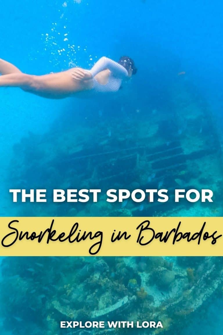 Snorkeling In Barbados Best Beaches To Snorkel In Barbados Explore With Lora