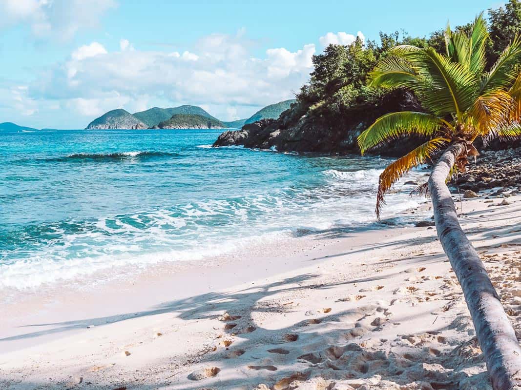 white sandy beach in with waves crashing on it and a swaying palm tree st. john us virgin islands