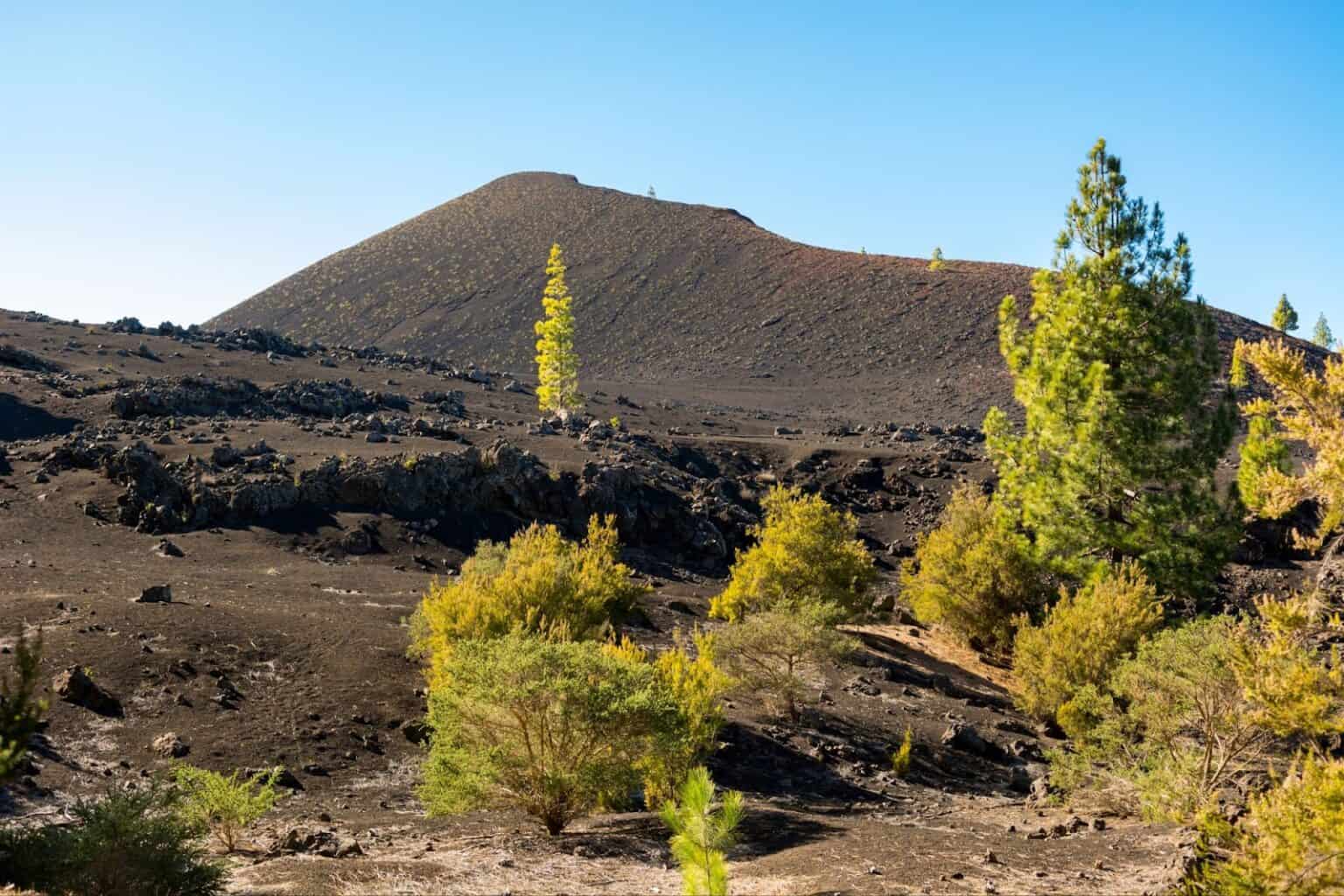 10 Best Hikes in Tenerife For Stunning Views – Explore With Lora