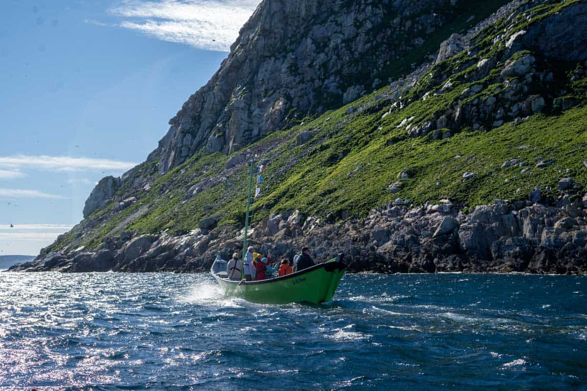 A small group of people travel in a green boat near a rocky, green-covered coastline on a sunny day.