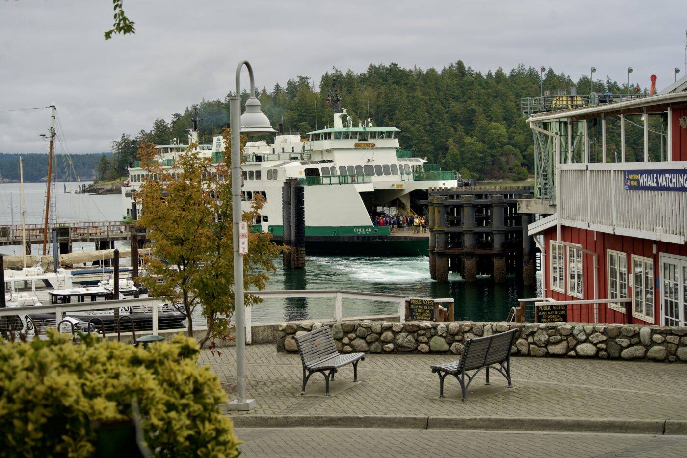 ferry coming into Friday harbour in San Juan island