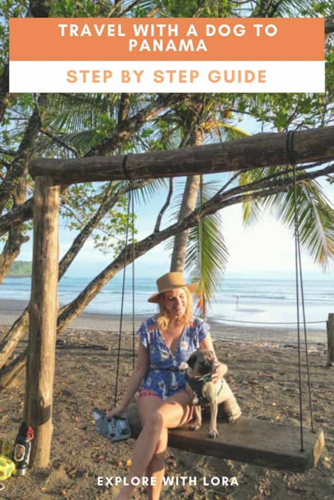 Person sitting on a swing with a dog on a beach, surrounded by palm trees, with text: "bringing a Dog to Panama: Step by Step Guide.