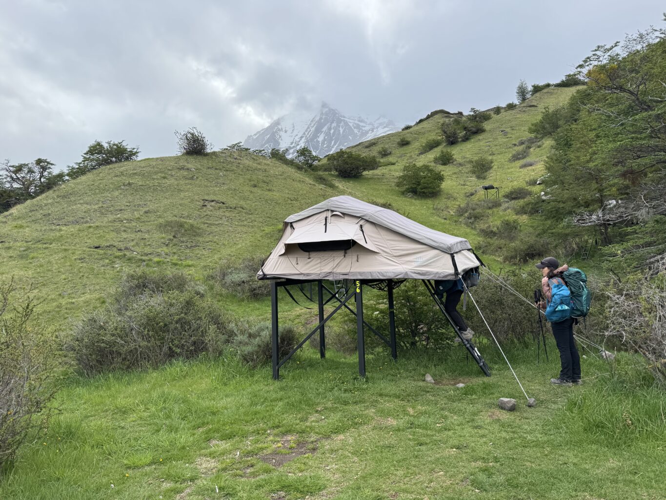 camping tent on grassy fields in torres del paine national park