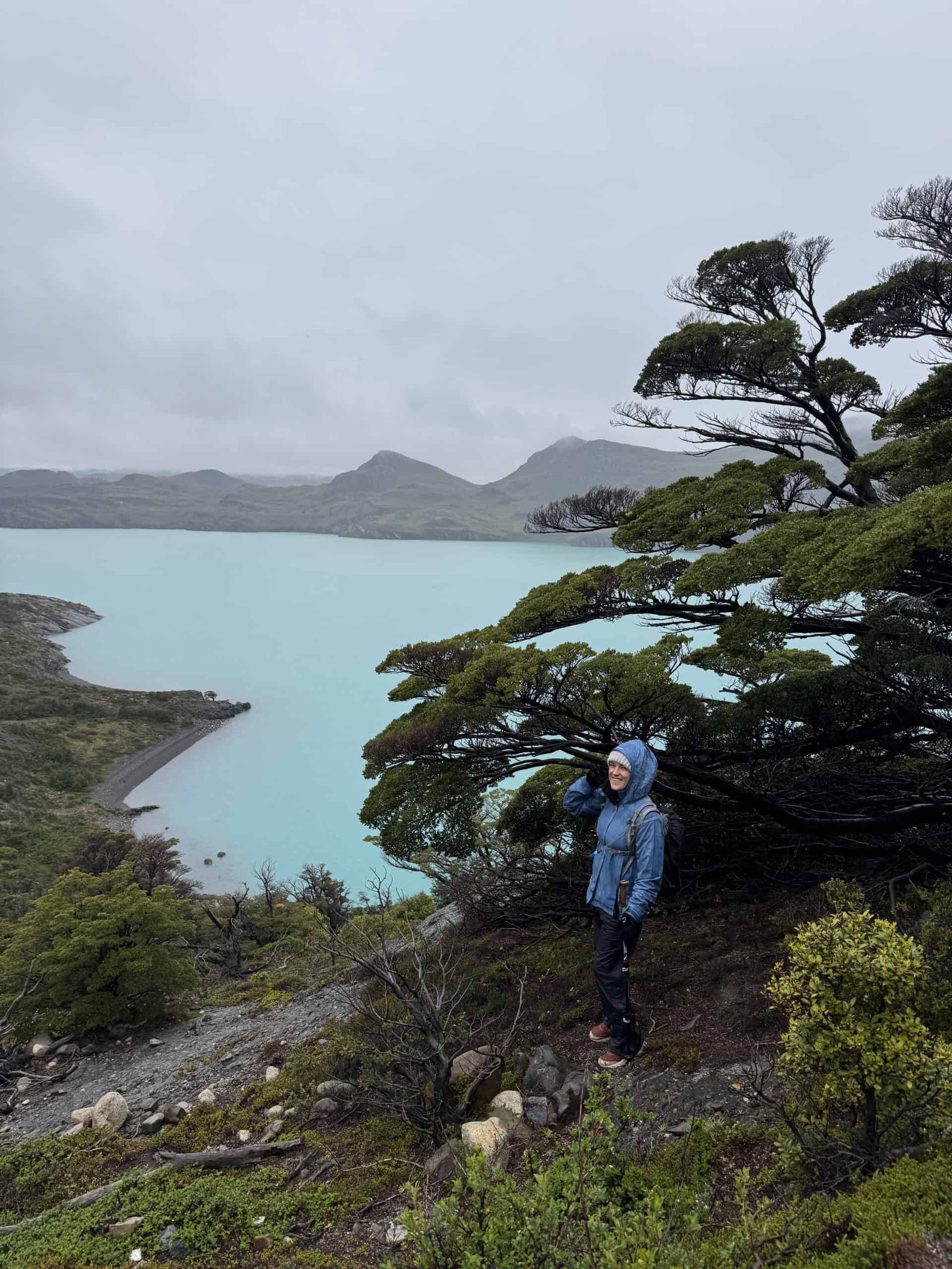 girl wearing blue rain jacket standing by a turquoise lake and tree while hiking the w trek itinerary in chile