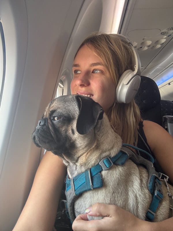 A person wearing headphones and a pug in a harness look out the window of an airplane.