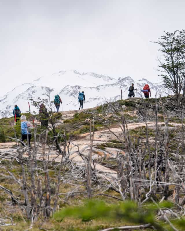 Hikers with backpacks walk on a rocky trail with snow-capped mountains in the background. Dry branches and sparse trees are visible in the foreground.