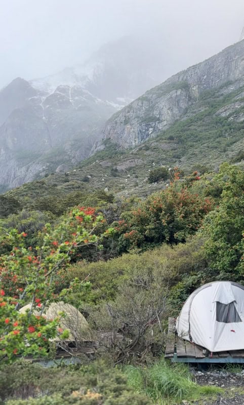 A campsite with two tents is set among green foliage and colorful flowers. Misty mountains rise in the background under an overcast sky.